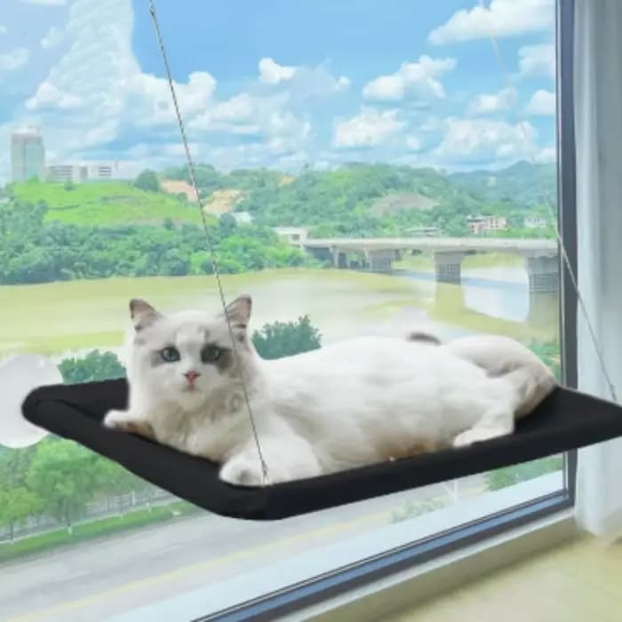 Nouveau hamac pour chat avec capacité de 20 kg, siège de fenêtre ensoleillé, lit suspendu confortabl