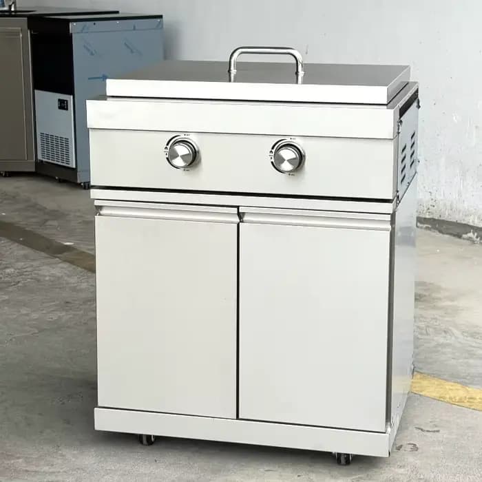 Plaque chauffante à gaz pour barbecue en acier inoxydable à 2 brûleurs pour fêtes, conception sans f