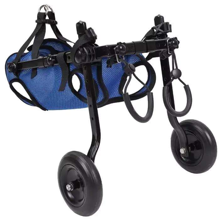 Fauteuil roulant réglable pour chien, membre arrière, pour animaux de compagnie handicapés, chat, ch