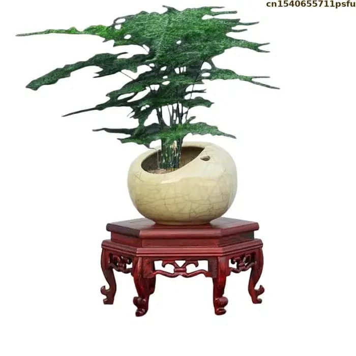 Ensemble de base de fleur debout en bois, vase sur piédestal, pot de fleur, table de tri, support d'