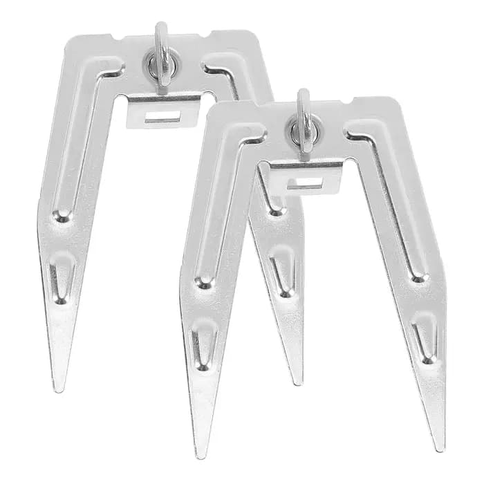 Fourchettes à poulet grillé, accessoires pour Barbecue, outil pour grillades, viande de poisson en a
