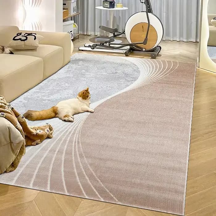 Grand tapis de salon imprimé, tapis rétro lavables, paillasson