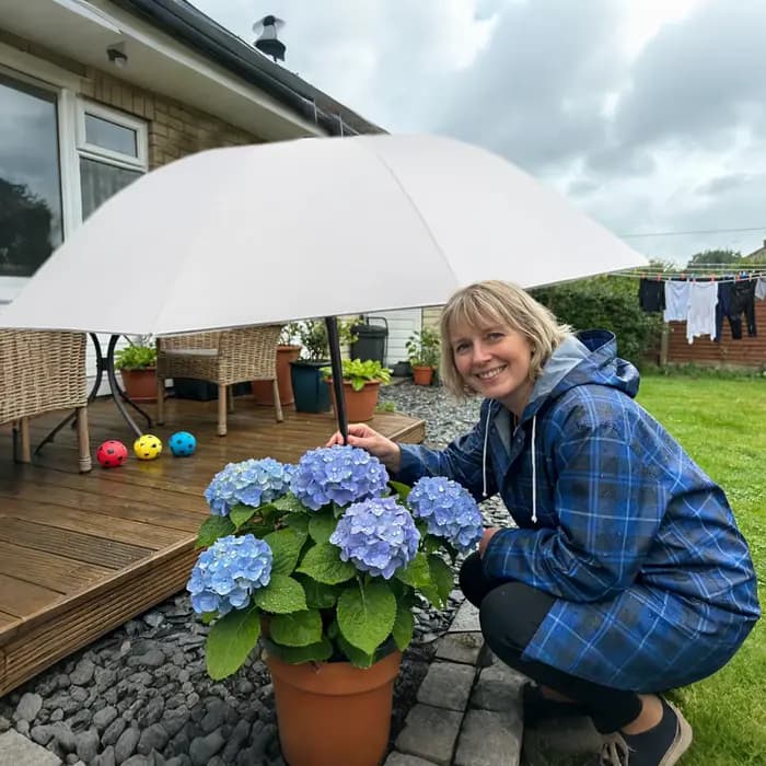 Parasols pliables pour plantes d'extérieur