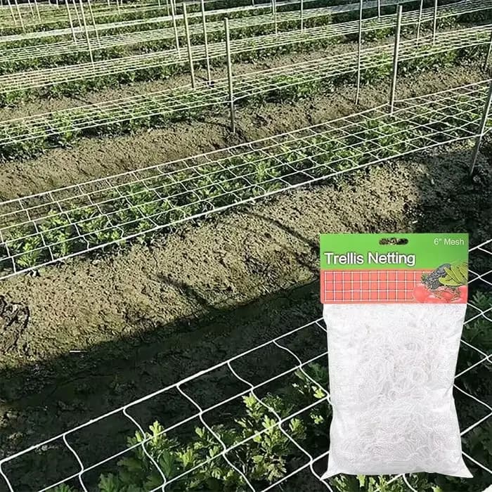 Filet en treillis pour plantes de jardin