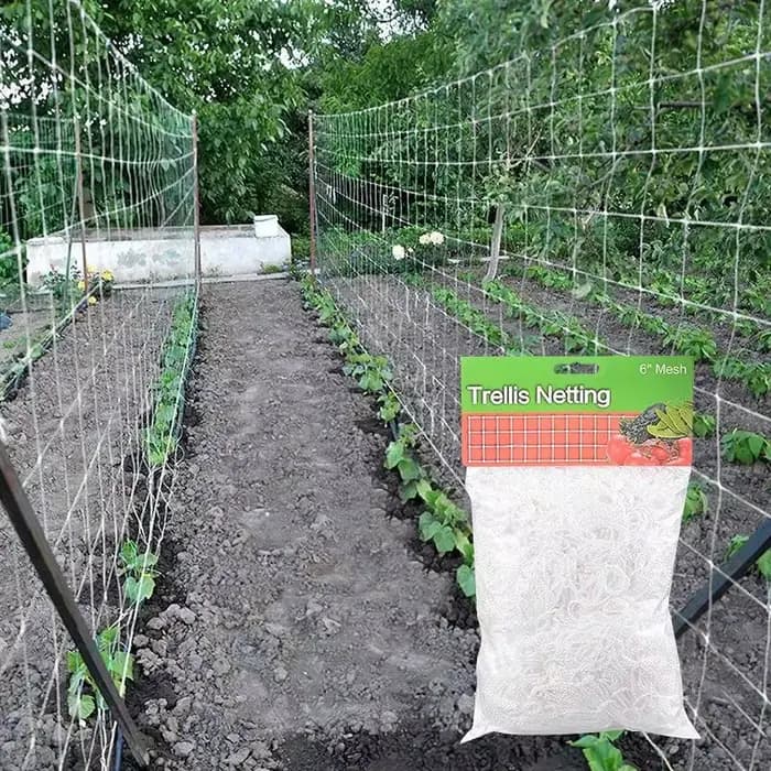 Filet en treillis pour plantes de jardin