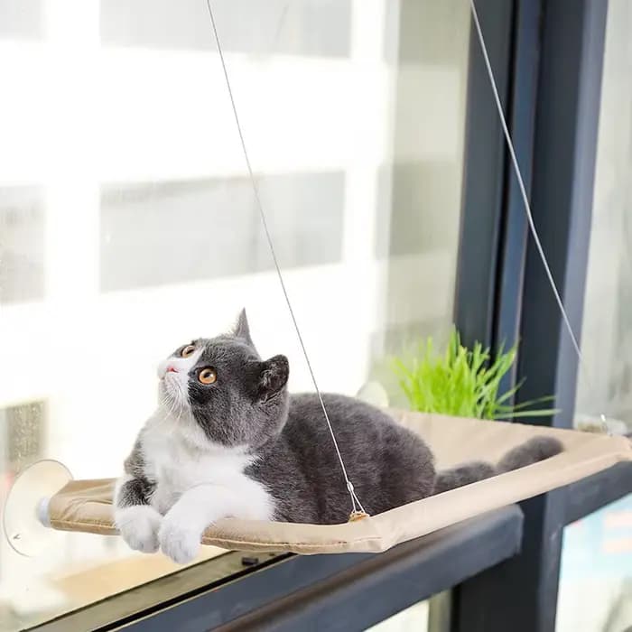 Nouveau hamac pour chat avec capacité de 20 kg