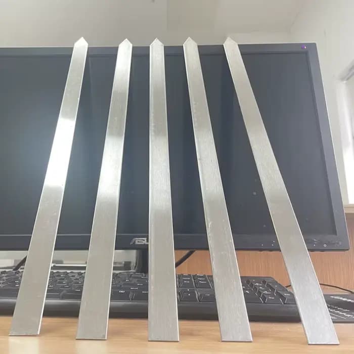 Modules Kebob en acier inoxydable pour barbecue, modules Wers, sans bois, manche plat, Wer Nucleofor Brazilian Koobideh Persian, 50cm de large, 6 pièces