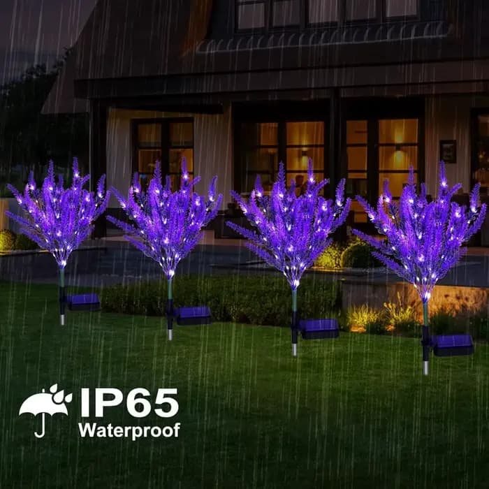Décoration de jardin, pelouse