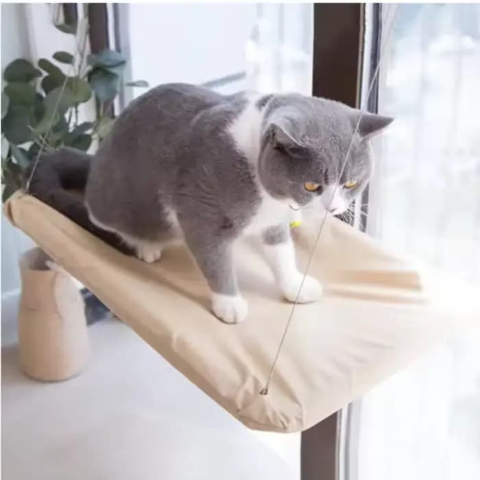Nouveau hamac pour chat avec capacité de 20 kg