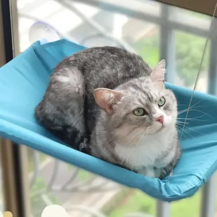 Nouveau hamac pour chat avec capacité de 20 kg
