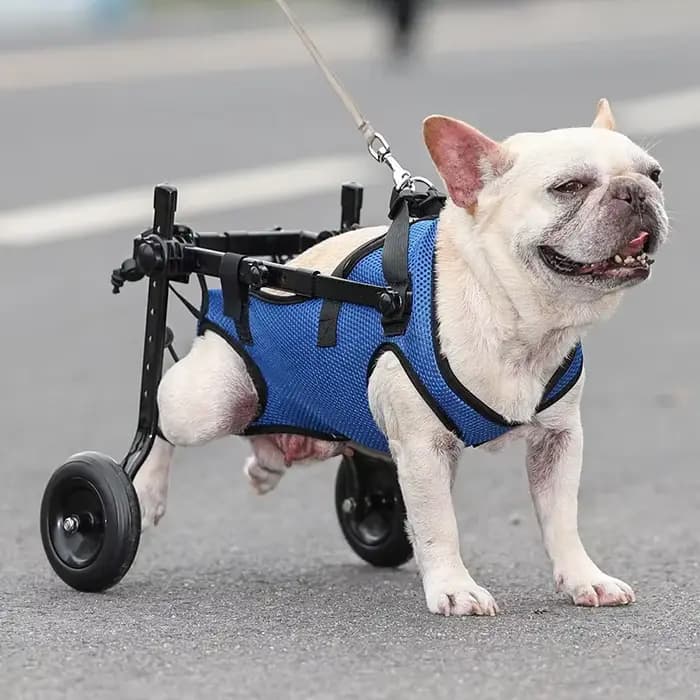 Fauteuil roulant réglable pour chien, membre arrière, pour animaux de compagnie handicapés, chat, chiens, aide à la mobilité, jambes de chariot, rééducation légère, outils de marche pour animaux de co