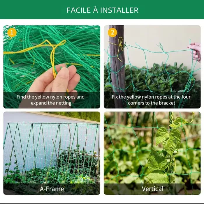 Pergolas de treillis pour plantes