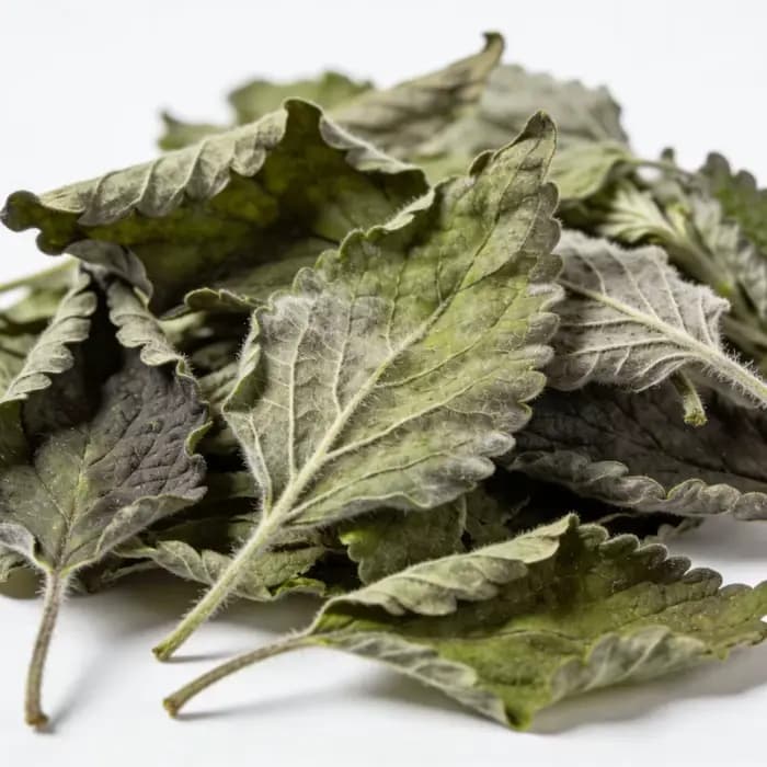 Patchouli sec de qualité, polyvalent, utilisé pour l'artisanat quotidien, parfum de savon, fabrication de parfum de maison, décoration de la maison