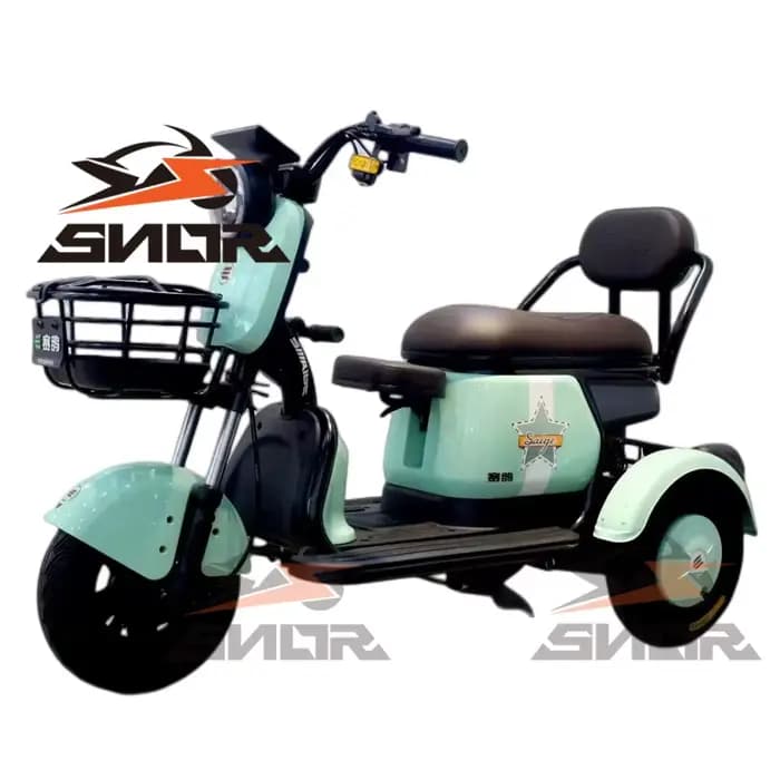 Chine Tricycle électrique adulte à 3 roues avec siège enfant et barre de poignée Certificat CEE Tricycles électriques E-Trrikes moins chers