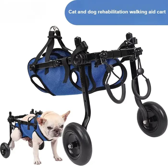 Fauteuil roulant réglable pour chien, membre arrière, pour animaux de compagnie handicapés, chat, chiens, aide à la mobilité, jambes de chariot, rééducation légère, outils de marche pour animaux de co