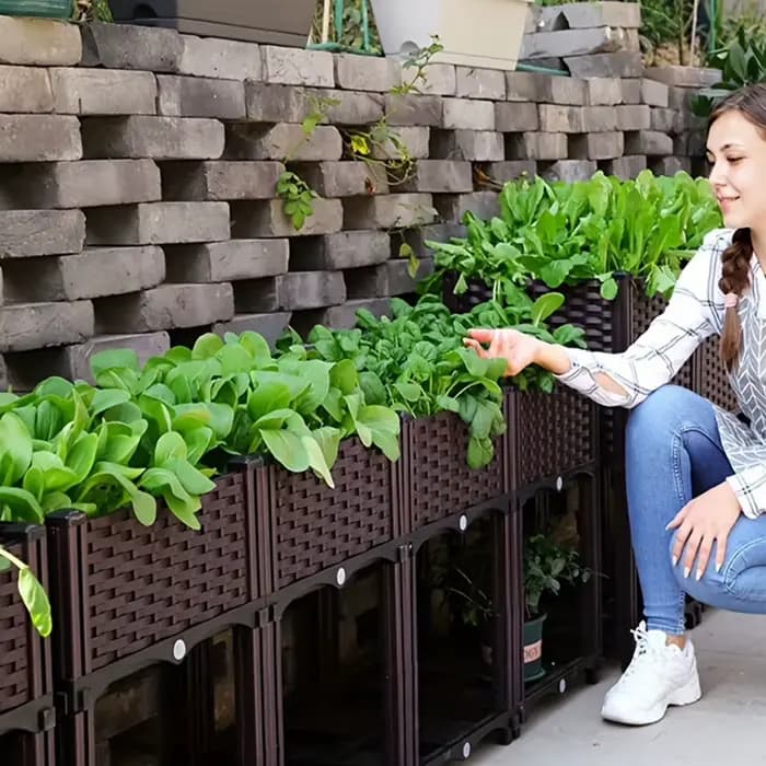 Pot de légumes de balcon