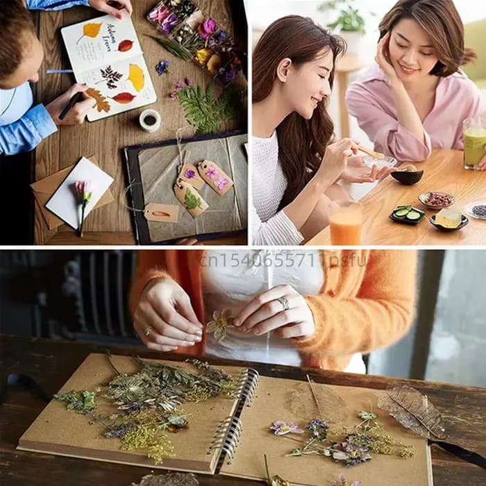 Feuilles de patchouli séchées naturelles de qualité supérieure, herbe aromatique pour encens, fabrication de bougies et de savon, pot-pourri, décoration de maison de mariage