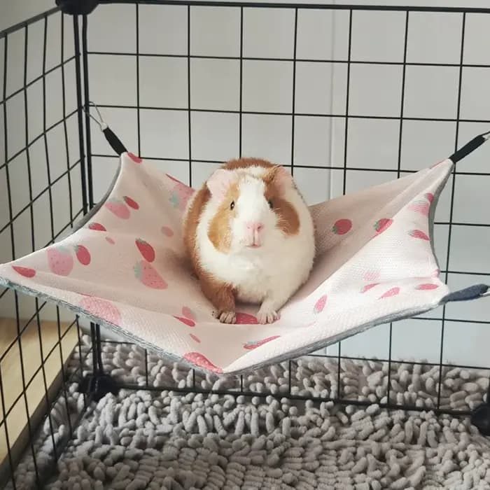 Hamac double face pour cochon d'Inde en soie glacée respirante, doux pour la peau, pour hamster, acc