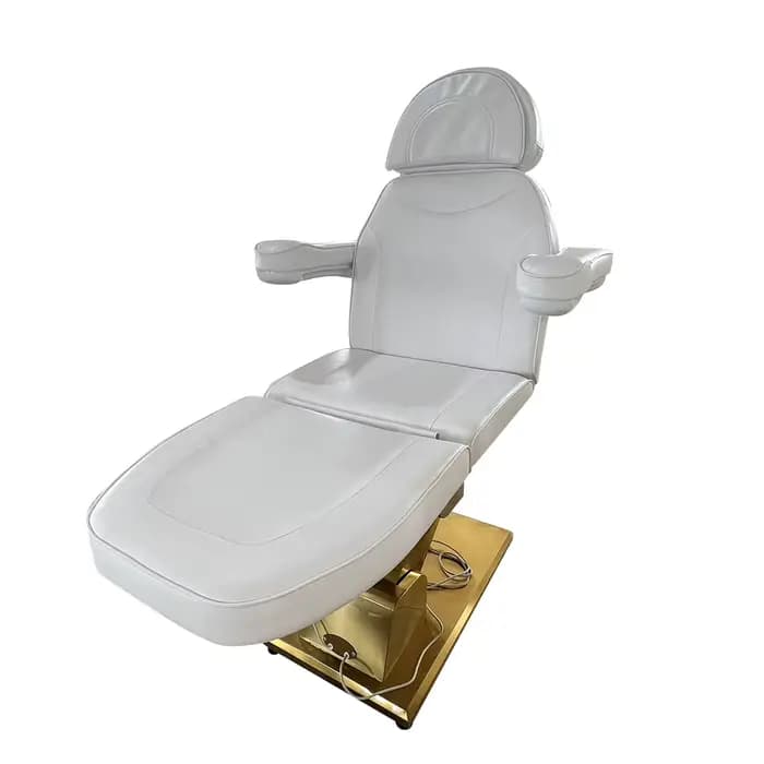 Lit de soins de beauté électrique multifonctionnel, Table de Massage d'hydrothérapie du visage, chai