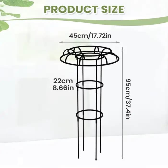 Treillis de jardin pour plantes grimpantes, treillis en forme de parapluie, support pour plantes vin
