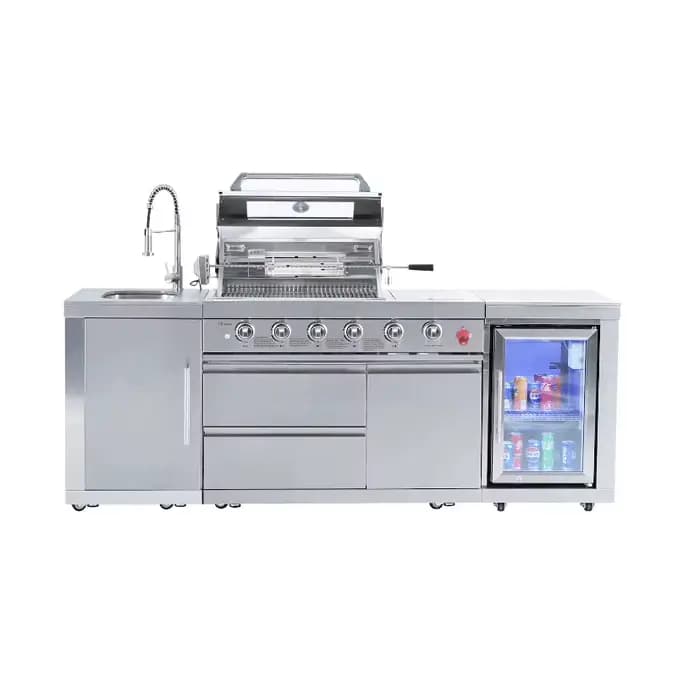 Barbecue d'extérieur au gaz naturel ou propane, allumeur, équipement de cuisson, acier inoxydable ro