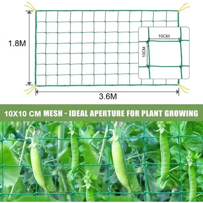 Grillage de treillis robuste pour plantes grimpantes d'extérieur, grilles de jardin, grilles carrées
