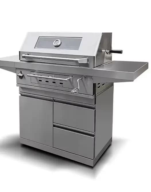 Grill de barbecue de jardin, étagère de barbecue au charbon de bois pour l'extérieur et la maison