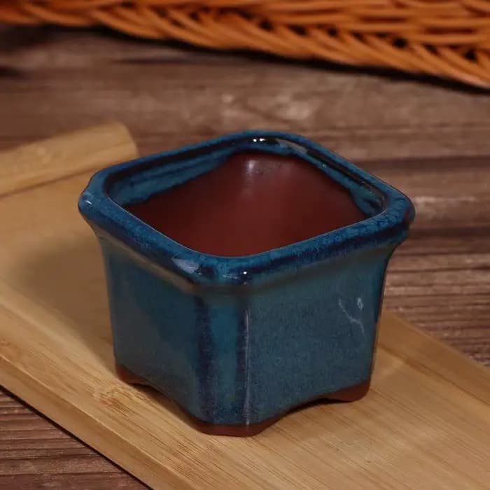 Mini pots de fleurs en céramique – Jardinières modernes pour salon et fenêtre