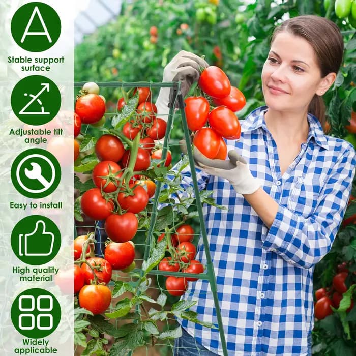 Treillis de concombre, cadre A pour légumes de jardin