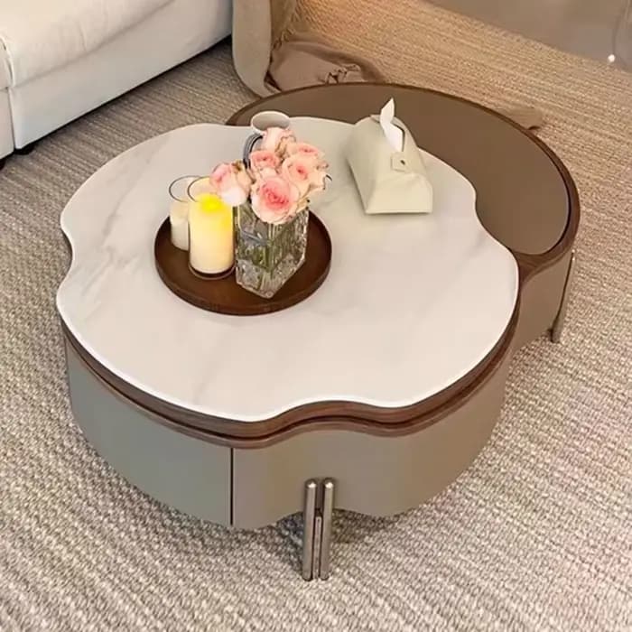Table basse De rangement multifonctionnelle