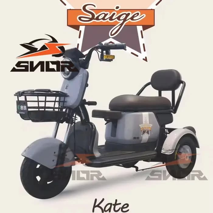 Chine Tricycle électrique adulte à 3 roues avec siège enfant et barre de poignée Certificat CEE Tricycles électriques E-Trrikes moins chers