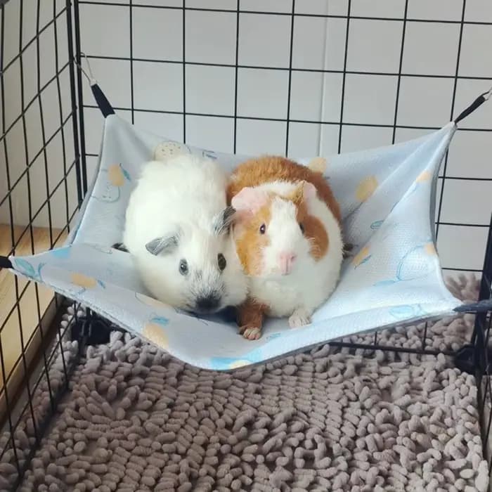 Hamac double face pour cochon d'Inde en soie glacée respirante, doux pour la peau, pour hamster, accessoires pour petits animaux de compagnie