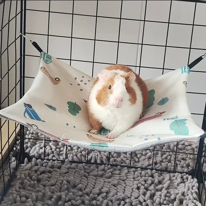 Hamac Double face cochon d'inde hamac d'été respirant avec fronde hamac pour animaux de compagnie produits pour animaux de compagnie équipement accessoire pour petits animaux de compagnie