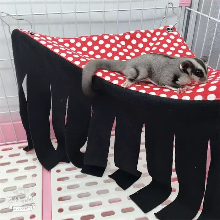 Hamac pour animaux de compagnie, Cage cachette, accessoires, tente pour Hamster, nid, lit pour cochon d'inde, Chinchilla, hérisson, Rat, écureuil, furet, lapin nain