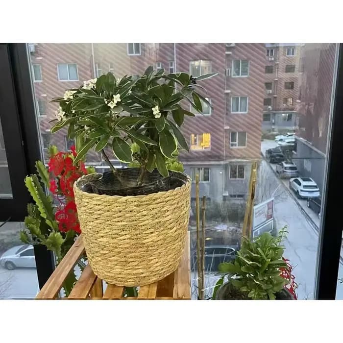 1 pièces pour Terraces de jardin Pot de fleur panier de jardinière rotin paille herbe tissé Pot de fleurs Mini/S/M/L décoration de meubles