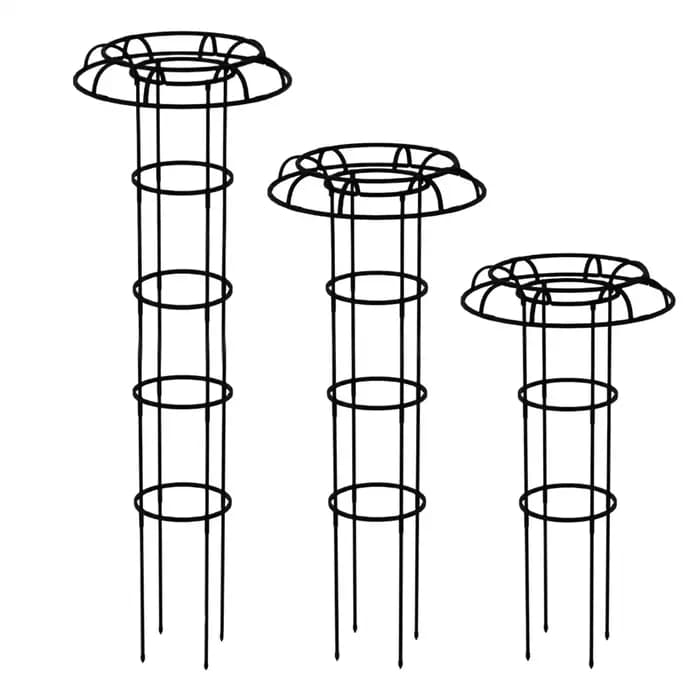 Treillis de jardin pour plantes grimpantes