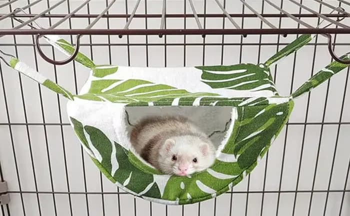 Hamac pour furet, hamac chaud pour cochon d'inde, pour animaux de compagnie, jouer et repos, Cage de lit pour petits animaux, Chinchilla, perroquet, planeur de sucre, furets