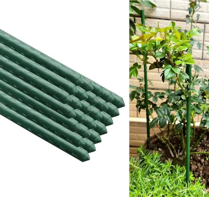 Paquet de 20 piquets de Support pour plantes polyvalents «robuste croissance»