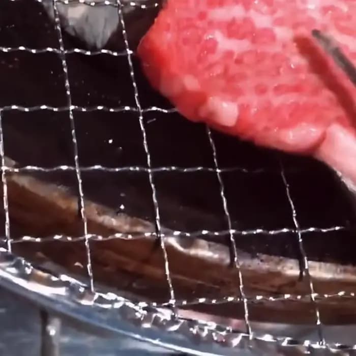 Grille de barbecue ronde jetable antiadhésive pour le camping en plein air